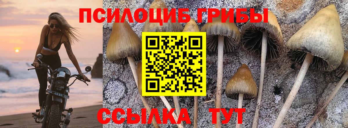 Галлюциногенные грибы MAGIC MUSHROOMS  Вход с VPN  Галлюциногенные грибы Psilocybine cubensis  Вязники 